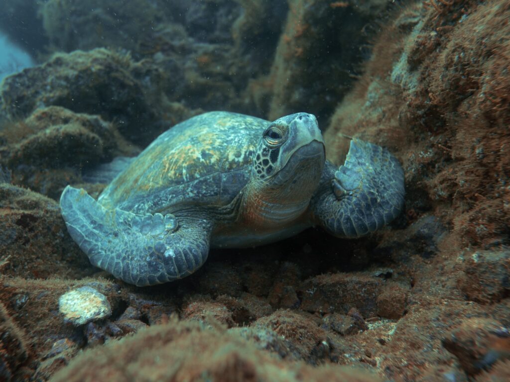 IMG-20250422-WA0017